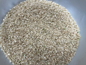 12/8̔Jn!!ߘa7NYV!!HcYʍ͔|āETLzR10kgy5kg×2zꕔnʓr|܂