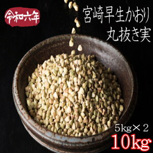 ߘa6NY!!{葁E۔y΂̎zy10kgz5kg×2
