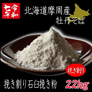 ߘa7NYV!!kCYO΁E҂ΉP҂Εy22kgq܁zł͂܂