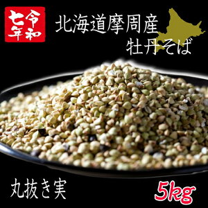 ߘa7VΔNY!!kCYO΁E۔y5kgz΂̎