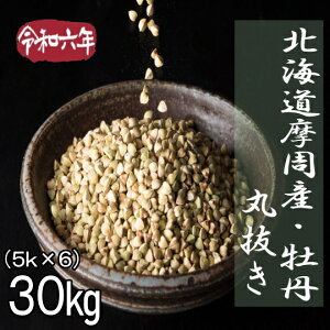 ߘa6NY!!kCYOE۔i΂̎jy30kgz5kg×6ł͂܂