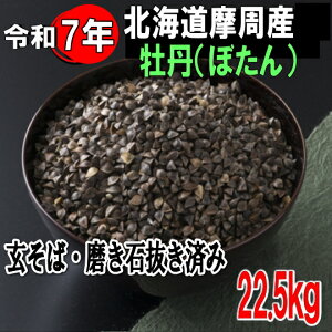 ߘa7NYV!!kCYO΁E΁EΔς݁y22.5kgzł͂܂