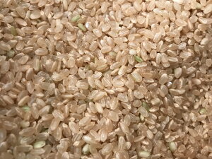 ߘa7NY!!Ȗ،cYRVqJ1y10kg5kx2ĐFʑIʍς݁zꕔn͕ʓr|܂