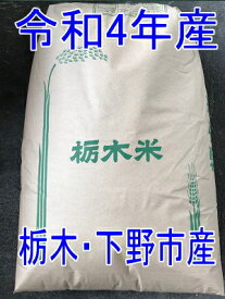 本州限定!!送料無料!!令和4年産!!栃木県下野産コシヒカリ1等【白米26.5kg】※北海道・九州・四国・沖縄・離島は別途送料掛かります