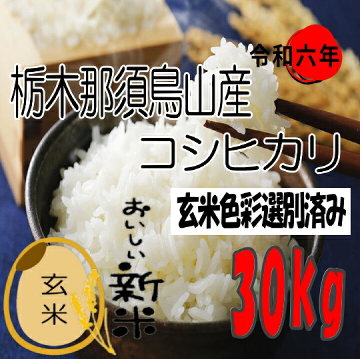 令和6年 栃木県産 コシヒカリ 玄米30kg 