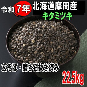 ߘa7NY!!kCYL^~cLE΁EΔς݁y22.5kgzł͂܂