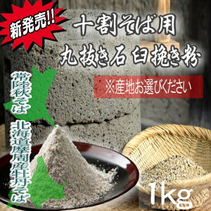 ߘa6NY!!YnEi킪Iׂ\ΗpE۔ΉP҂Εy1kgz