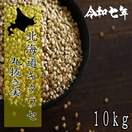 令和7年産!!北海道産キタワセそば・丸抜き実【10kg】5kg×2※そばの実