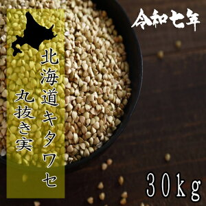 ߘa7NYV!!kCYL^Z΁E۔y30kgz5kg×6ł͂܂