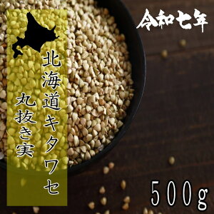 ߘa7NY!!kCYL^Z΁E۔y500gz