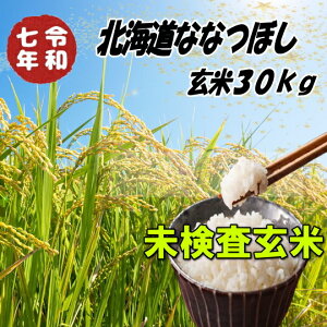 令和7年産新米!!北海道新十津川町産・ななつぼし【未検査玄米30kg】※別途送料掛かります