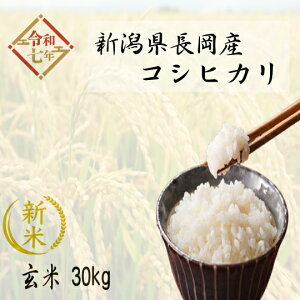 !!ߘa7NYV!!@VYEʍ͔|RVqJ1āy30kgzʓr|܂