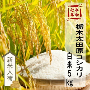 ߘa7NYV!!Ȗ،cYRVqJ10kgy5kg×2zꕔn͕ʓr|܂