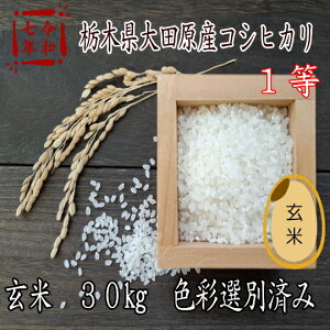 ߘa7NYV!!Ȗ،cYRVqJ1y30kgFʑIʍς݁zʓr|܂