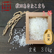 楽天市場】玄米 30kg 和歌山の通販