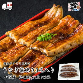 楽天市場 中国産うなぎの通販