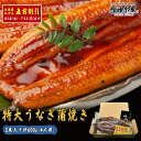 【6/18からうなぎ直前割】お中元 土用丑 うなぎ 蒲焼き 鰻 ウナギ 2尾 化粧箱入り タレ 4個 山椒付き 食べ方解説書付き 中国産 ”特大うなぎ蒲焼2尾入り”