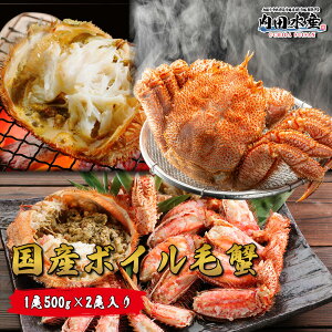 y2025Nׂ܂IIzъI уKj {C Jj  kC 1500gO  Ε hY{CъIh