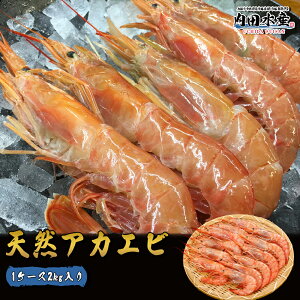 AJGr 󂠂 AJGr Ԃ A[` L1TCY K2kg  Ɩp p ԊCV AJGr hAJGr2kgh