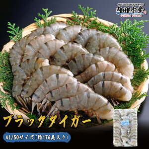 Gr ubN^CK[  1,8kg Ɩp 41/50 176 BT  Gr BBQ F[Ă hV̓ Ε N\ hubN^CK[(Mp)41/50h