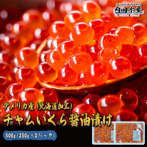  CN  kCH AJY ݖЂ 500g H ` CN t VP  TP h`ݖЂh