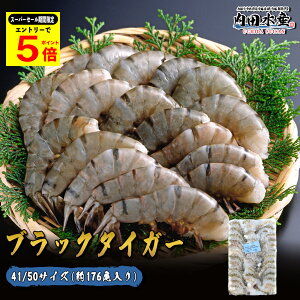 _4̃X[p[Z[Ԍ|Cg5{^Gr ubN^CK[  1,8kg Ɩp 41/50 176 BT  Gr BBQ F[Ă hV̓ Ε N\ hubN^C