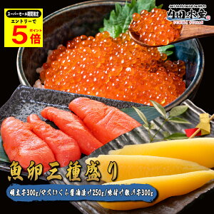 _4̃X[p[Z[Ԍ|Cg5{^hO퐷h q300g }X250g t̎q300g ґCNZbg Mtg p т̂  O