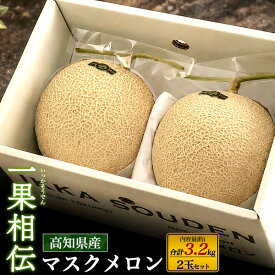 秋 グルメ ギフト 残暑見舞い メロン 高知県産 マスクメロン 一果相伝 2玉 セット 国産 日本産 甘い くだもの 果物 フルーツ ギフト 濃厚 贈り物 お供え 定番 プレゼント お見舞い お祝い 熨斗 結婚祝い 内祝い 高級グルメ お彼岸
