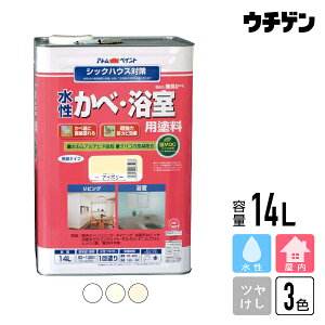 AgnEXyCg L(ׁEph)14L