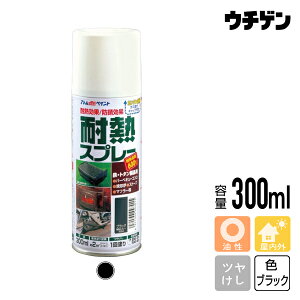 AgnEXyCg ϔMXv[ ubN 300ml