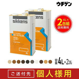 ytll菤izVbPY Zg[HLSe 4L 2ʃZbg sikkens S10F  Z^ ؍ޕیh ؕF XeC Oؕ OnEX EbhfbL h