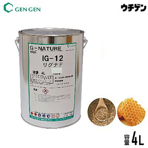 ���Y���R�h���E�@�\���h�� G-NATURE ���O�iF 4L ���X���w�H��
