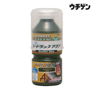 aMyCg K[hbNANA O[ 270ml