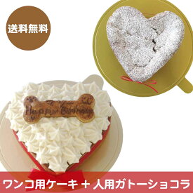 【犬用ケーキハートとガトーショコラクラシックのセット】(送料無料)ワンコ用ケーキと人用ケーキのセット