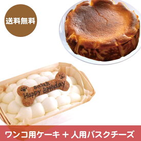 【犬用ケーキスクエア小とバスクチーズケーキ12cnのセット】(送料無料)ワンコ用ケーキと人用ケーキのセットです