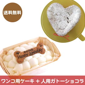 【犬用ケーキスクエア小とガトーショコラクラシックのセット】(送料無料)ワンコ用ケーキと人用ケーキのセット