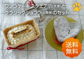 【犬用ケーキスクエア小とガトーショコラクラシックのセット】(送料無料)ワンコ用ケーキと人用ケーキのセット