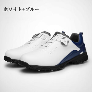 ySS50%OFFzyz_C StXpCNX V[Y Y C Xj[J[ y L ₷ ₷ C[ RȂ V[X p[NSt X|[c StV