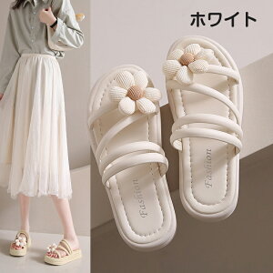 yzT_  obNT_  ItBXT_ fB[X ėpT_ YAXbp 񂾂   AEghA JWA C  l r V