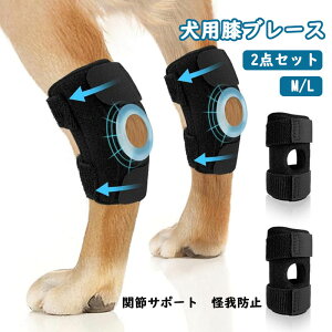  L r u[X p T|[^[ 2_Zbg O㑫 ܎ ֐߃veN^[ rߖh~  h~ Lp pEFA ybgp T|[^[ ̕ی ߉\ _ Ϗ