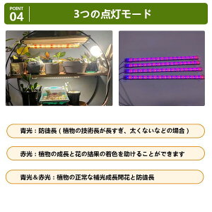 A琬Cg led ϗtA v z 10iK 33cm 4wbht ͔|  tXyNgCg k͔| usb  c ^C}[
