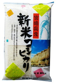【精米】宮崎産 コシヒカリ 令和5年産 精米10kg(5kgx2袋)