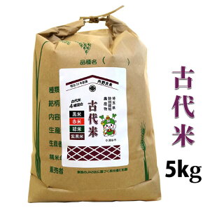 Y Ñ 4퍬 5kg  ԕ Ε Ăuh ʍ͔|_YFؕākCEB400~Aꑼ1,800~