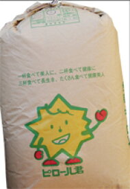 【新米】【玄米】福井産 ピロール米 コシヒカリ 玄米25kg令和7年産ご希望で精米無料北海道・九州500円割増、沖縄1,500円割増/