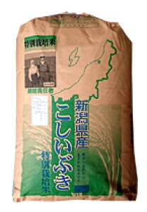 【新米】【玄米】新潟産 特別栽培米 こしいぶき令和7年産玄米25kg/精米22.5kg小分け対応可北海道・九州400円割増、沖縄2,800円割増