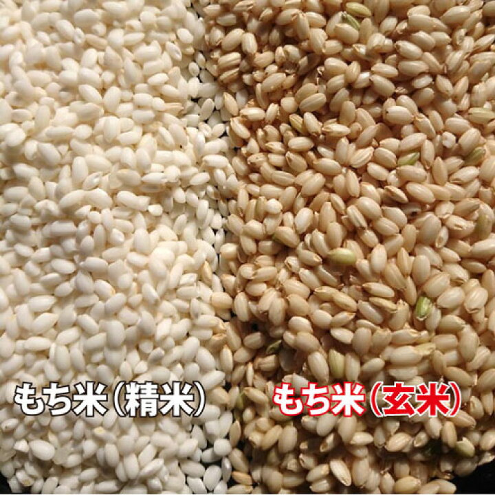 楽天市場】【もち玄米】令和7年産 千葉県産 ヒメノモチ もち米 玄米5kg 