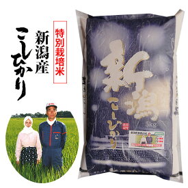 新潟産 コシヒカリ 特別栽培米 令和5年産 精米10kg(5kgx2) 曽我さんの こしひかり 農薬・化学肥料5割削減