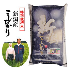 【精米】新潟産コシヒカリ 特別栽培米 令和5年産 精米5kg ※北海道・九州400円・沖縄1,800円割増