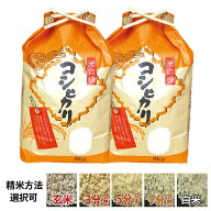 【新米】【玄米】 埼玉産 コシヒカリ 令和8年産 玄米10kg(5kgx2) 玄米 白米 3分づき 5分づき 7分づき※北…