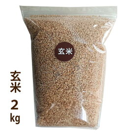 【玄米】秋田産 あきたこまち 令和5年産 玄米2kg